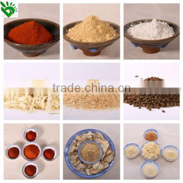 Best Price of High Quality Chilli Seasoning-CHILLI POWDER