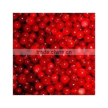 Lingonberry Extract Powder