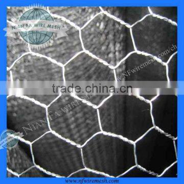 Chicken Mesh(Factoryof Guangzhou)