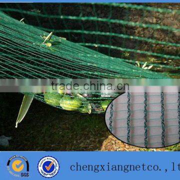 Virgin material with UV HDPE plastic nut harvest olive harvest net