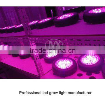 China Factory Online Shop UFO Led Grow Light For Garden photo-3