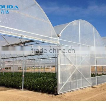 Hot Dipped Steel Pipe Structure Polyethylene Greenhouse PE Film Greenhouse