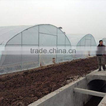 High Quality Cheap Poly Tunnel Greenhouse photo-3