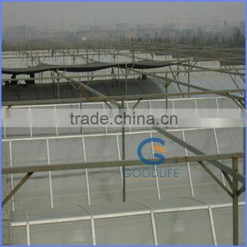 Goodlife Polycarbonate Sheet for Greenhouse photo-6