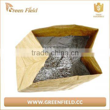 Hot Sale Collapsible Tyvek Paper Insulated Lunch Cooler Bag photo-5