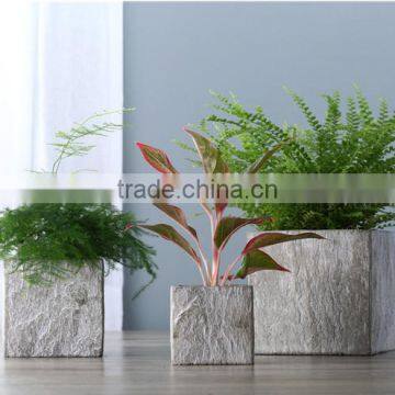 Sigma Hot Selling Small Ceramic Flower Pot Square Outdoor Planters photo-2