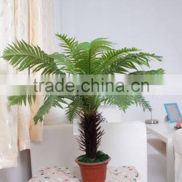 SJ300916 High Initation Fake Bonsai Tree/cycas Foliage Plant Tree photo-3