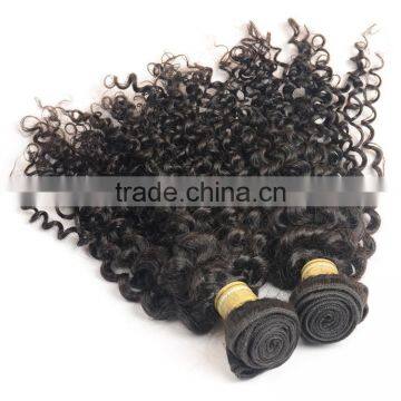 Thick Ends High Quality Wholesale Indian Hair, Double Drawn No Shed Virgin Indian Curly Hair