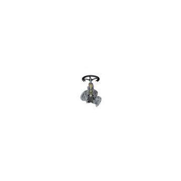 Cast steel globe  valve