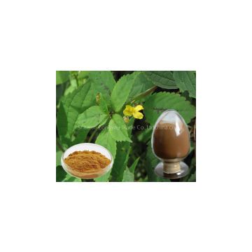 Nettle Root Extractplant extract factory