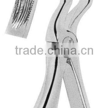 10 Pieces Surgical Instrument Dental Extraction Forceps