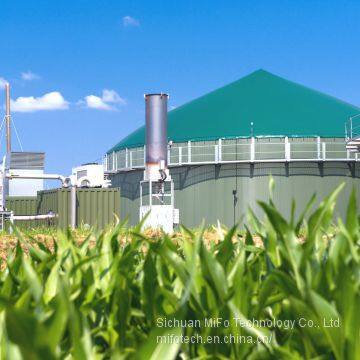 Direct factory supply biogas storage tanks for gas digester