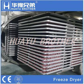FD-35R350kgs Industrial Freeze Drying Equipment Freeze Dryer Price photo-2