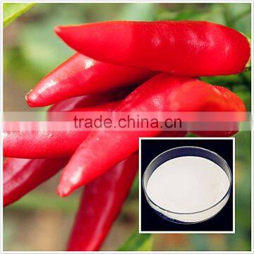 high quality synthetic capsaicin powder/nonivamide with the best price