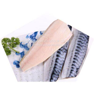 Frozen Mackerel Fillet Supplier