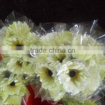 Good quality Dalma colorful cut fresh gerbera flower