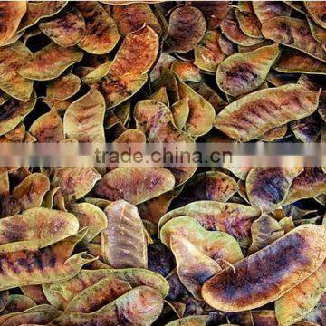 High Grade Senna Pods and Senna Leaves