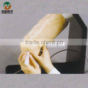 Medical elbow joint injection model BIX-CK20134