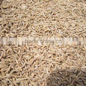 Cumin Seeds