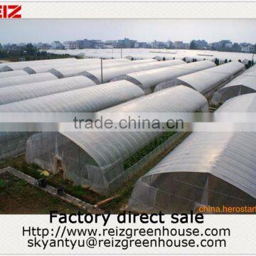 15 Years Warranty 100% Bayer Reinforced Cheap Plastic Agriculture Single Span Tunnel Greenhouse Quality Choice Most Popular photo-6
