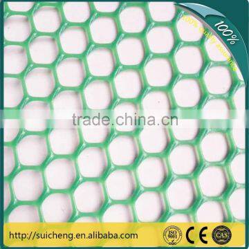 Guangzhou Plastic Flat Mesh/ Grass Protection Plastic Mesh/ Plastic Plain Mesh