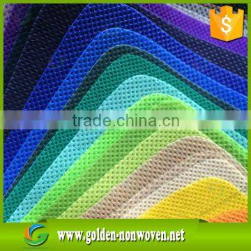 Pet Non Woven Fabric 80g Non-woven Fabric Raw Material for Non Woven Bags photo-6