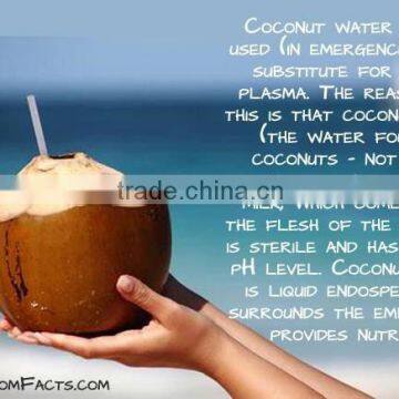 BULK COCONUT WATER - COMPETITIVE PRICE