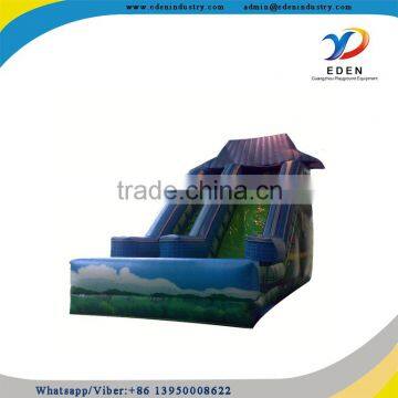 durable inflatable wet and dry slide