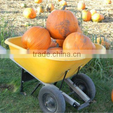 dual poly heavy duty wheel barrow,garden water cart,water barrel WB1009