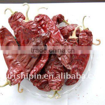 Red Chili Pepper photo-3