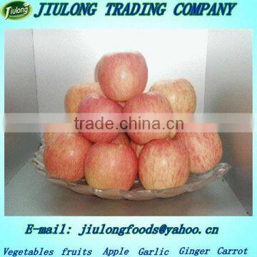 Fuji apple exporter in china