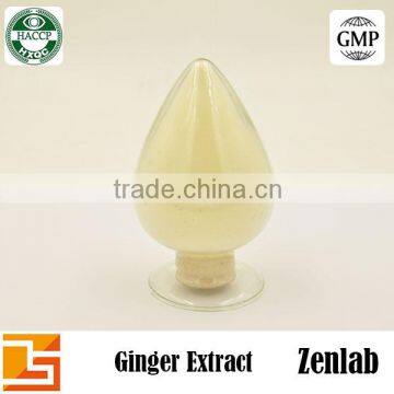 Professional Manufacturer Supply Pure Ginger P.E.