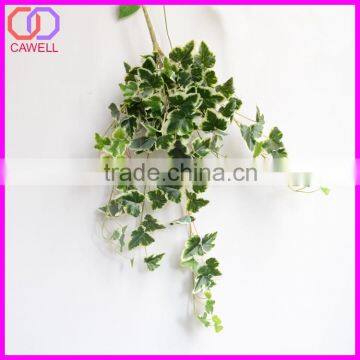 Important of Ornamental Plant photo-4