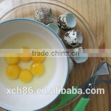 Professional Quail Egg Scissors Egg Shell Cutter Price