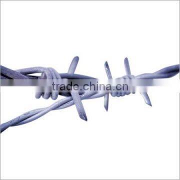 barbed wire(factory)