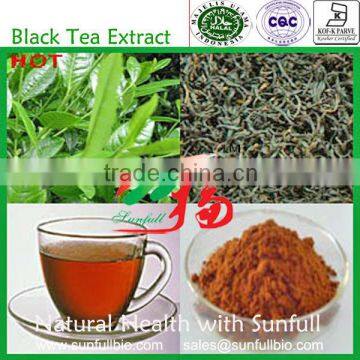 soluble in water 100% Instant Black Tea Powder