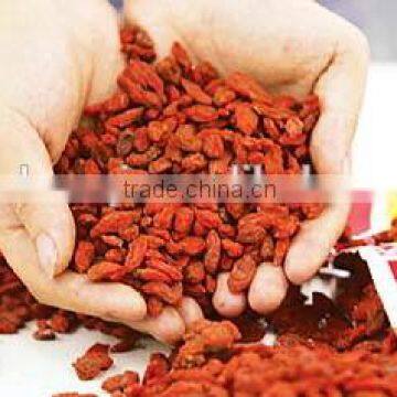 Ning Xia manufacturer goji berries dried fruit