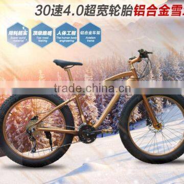 Ultrastrong With High Quality Excellent Quality Fat Wheel Beach Snow Bike