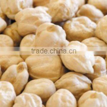 TASTY INDIAN CHICK PEAS