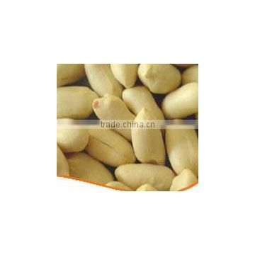 Leading Exporter for Peanut