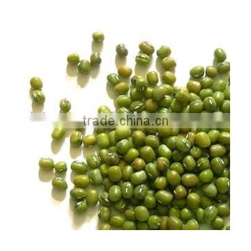 Sell Chinese Small Green Mung Bean