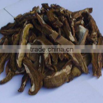 Organic green food Dried Boletus Edulis Selling Hot