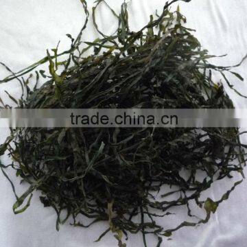 2015 Hot sale seaweed Machine Dried cut kelp(manufacturer)