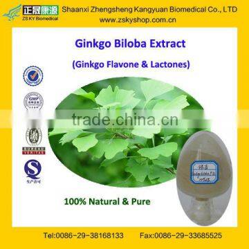 GMP Certified Manufacturer Supply Natural Ginkgo Biloba Leaf Extract