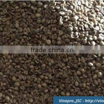 VIETNAM WET POLISHED ROBUSTA COFFEE BEANS S16(+841657106604 - WHATSAPP) photo-2
