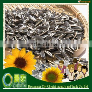 Hot Sell New Crop Sun flower Seed