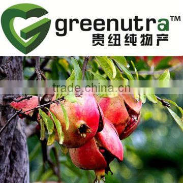 pomegranate rind extract