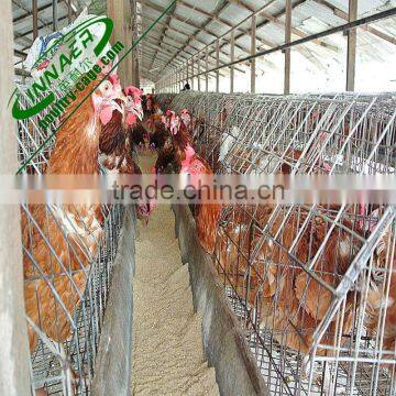 gl hen cage