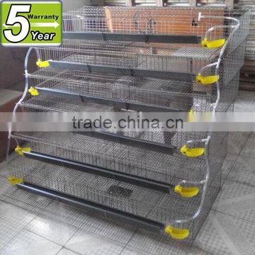 quail cages/feeding cage system