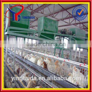 galvanized or pvc antique round metal bird cage (ISO9001 factory)